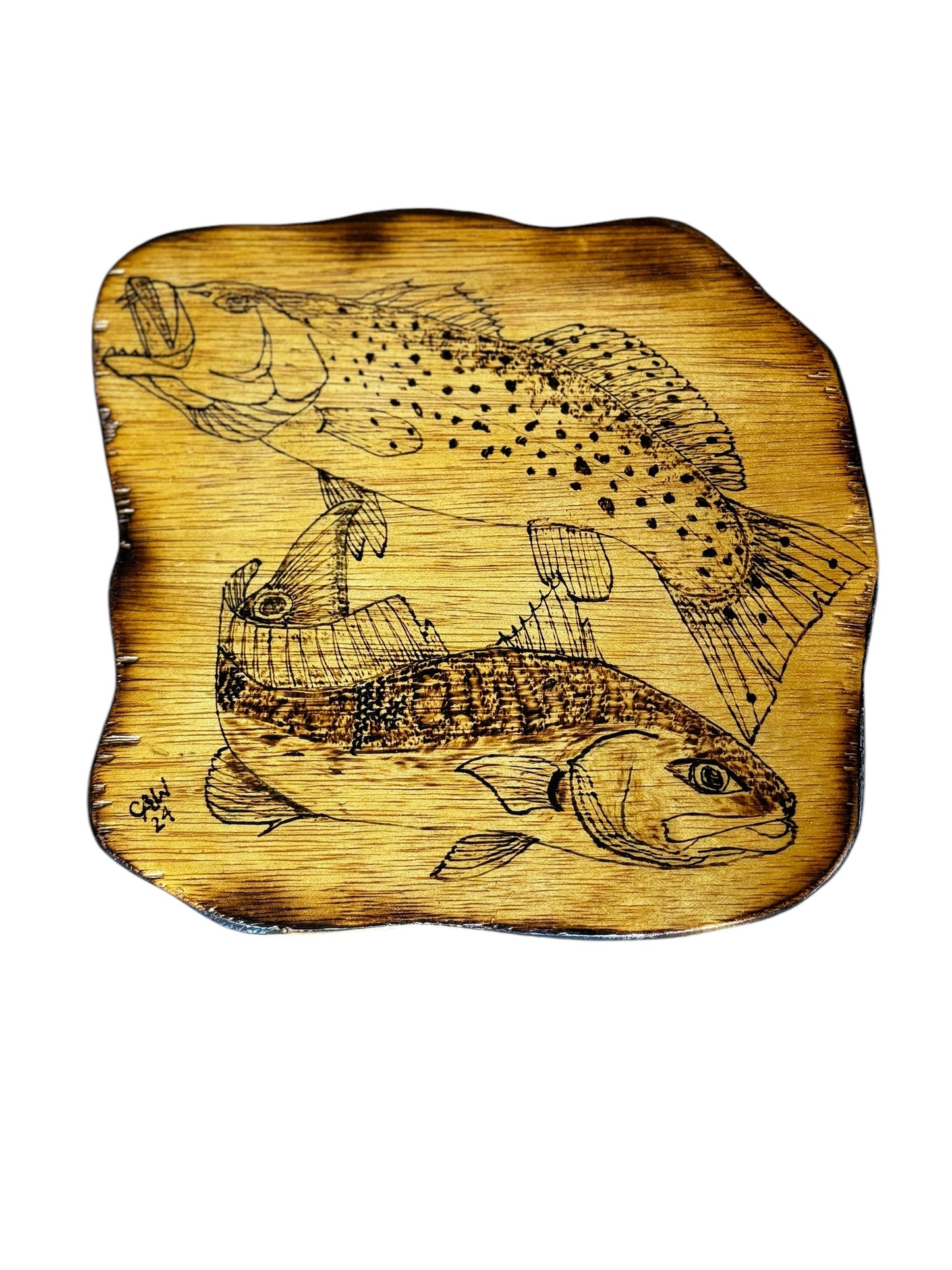 Wood Art-Sea Trout and Redfish